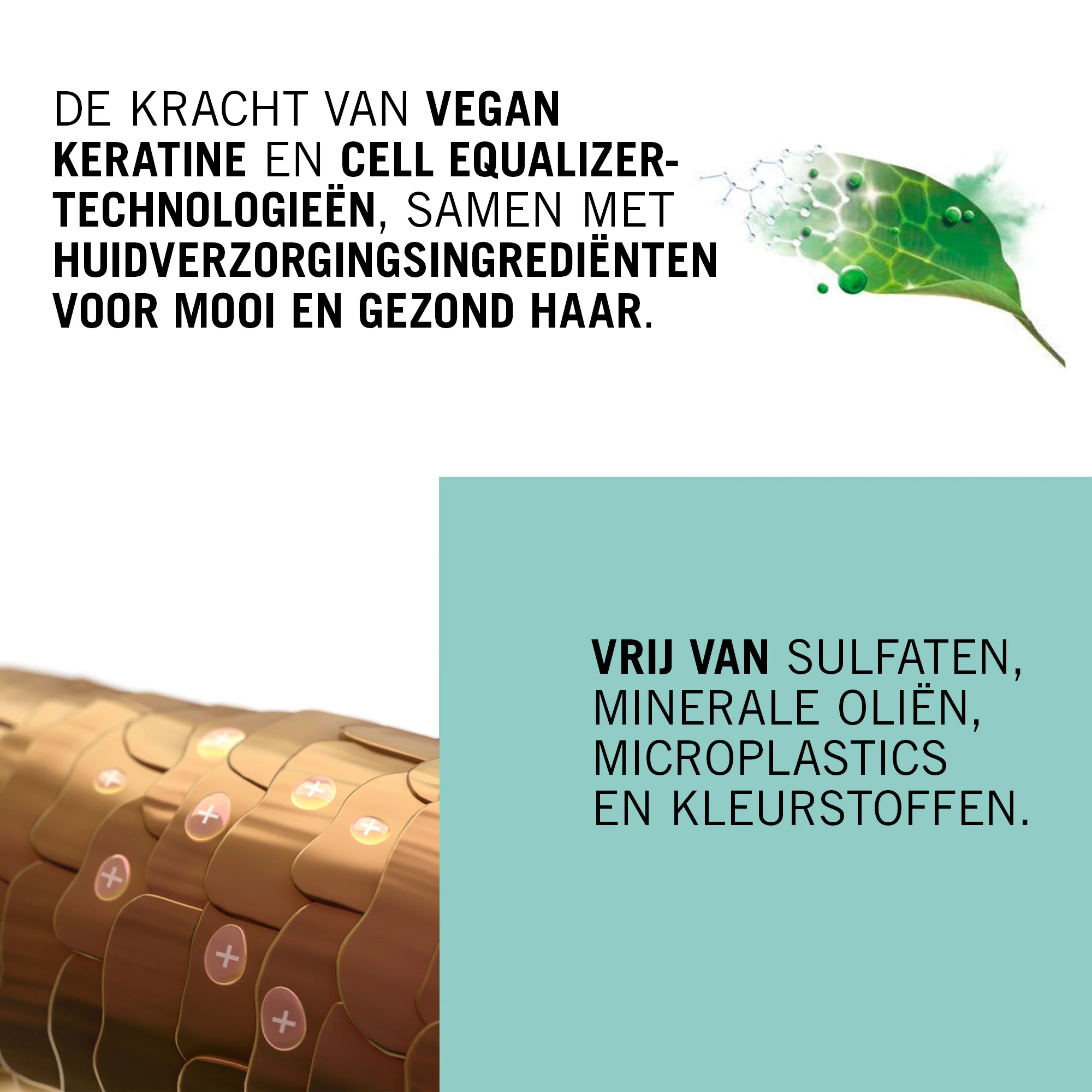 Productafbeelding 6