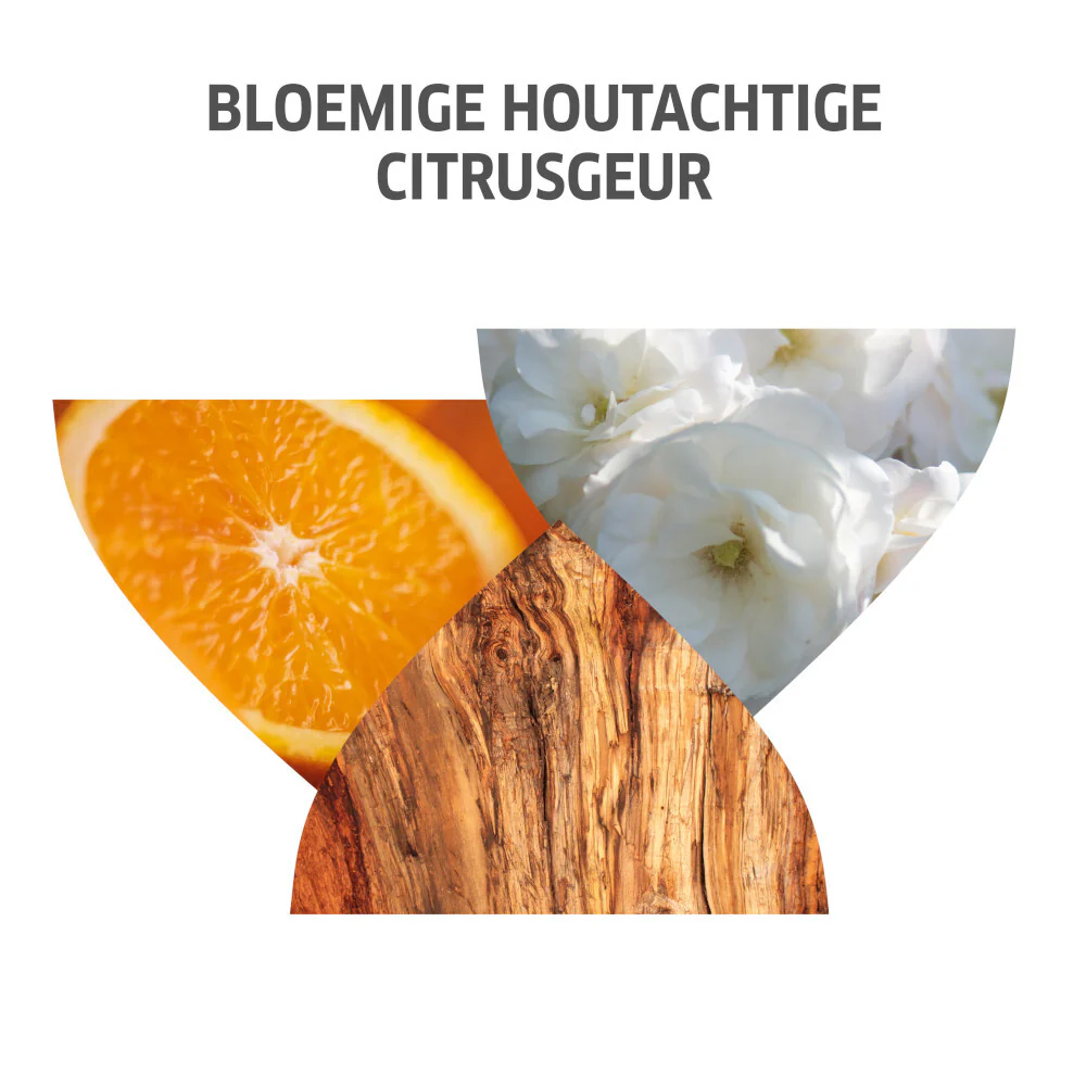 Productafbeelding 12
